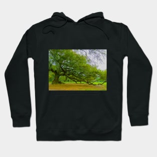 Tree of Life Digital Art New Orleans Hoodie